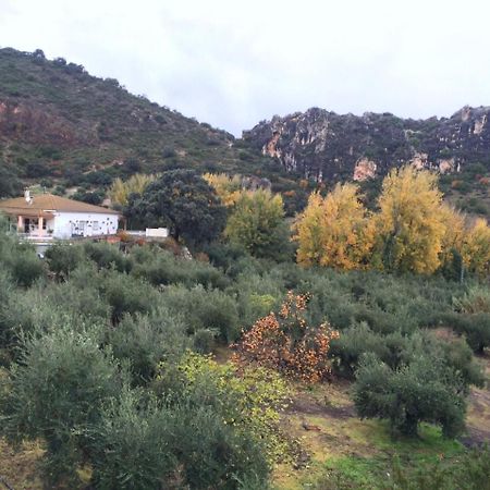 Villa La Quinta Priego de Córdoba Exterior foto